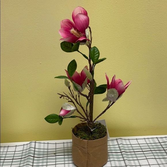 Target Other - Target “ pink Magnolia “ mini tree